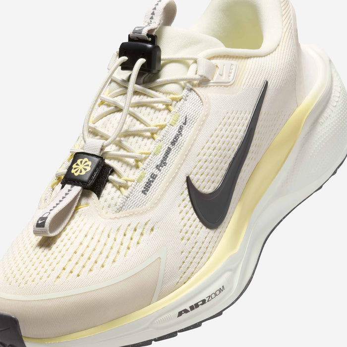 Nike Pegasus EasyOn