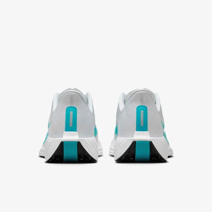 Nike Pegasus Plus