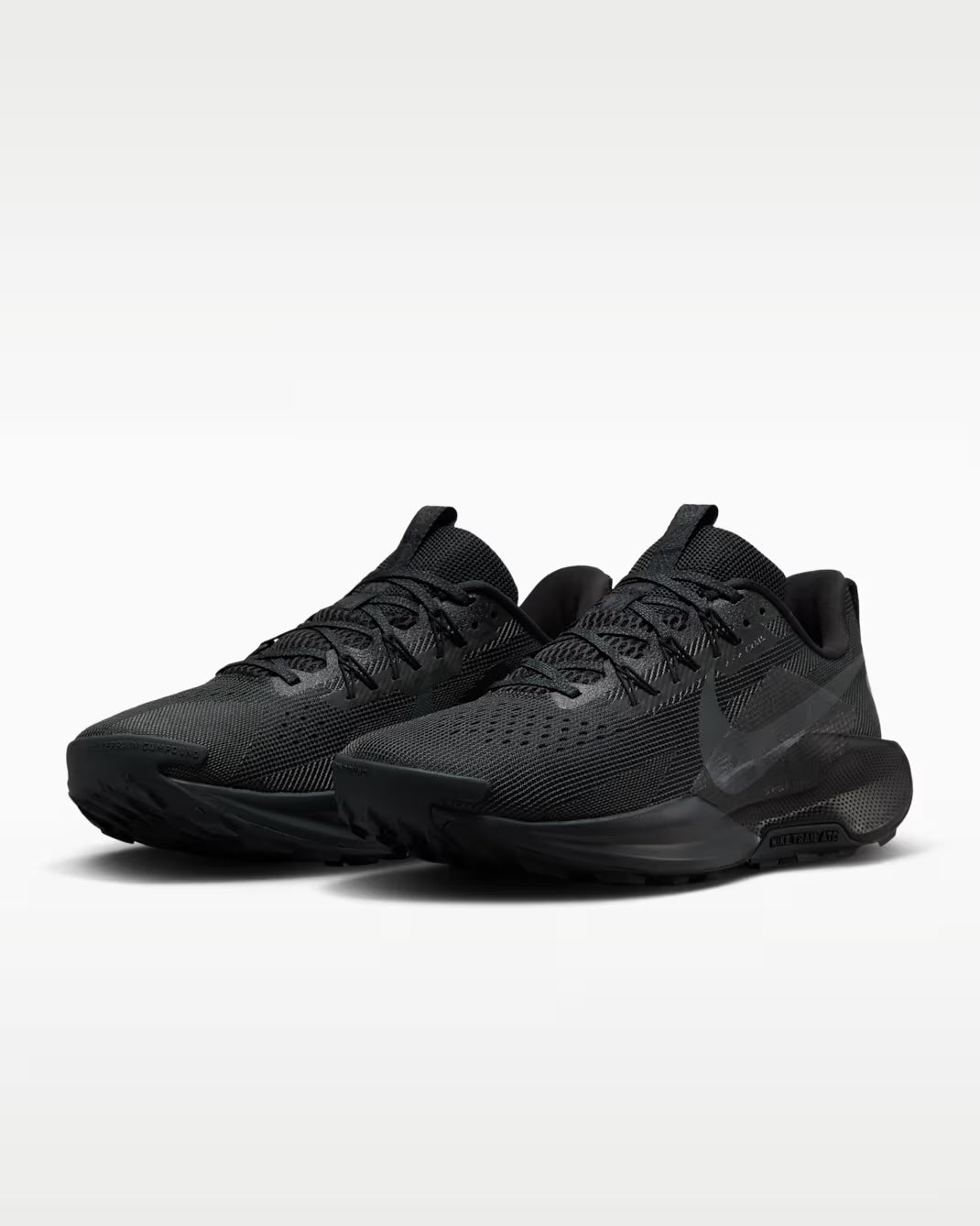 Nike Pegasus Trail 5