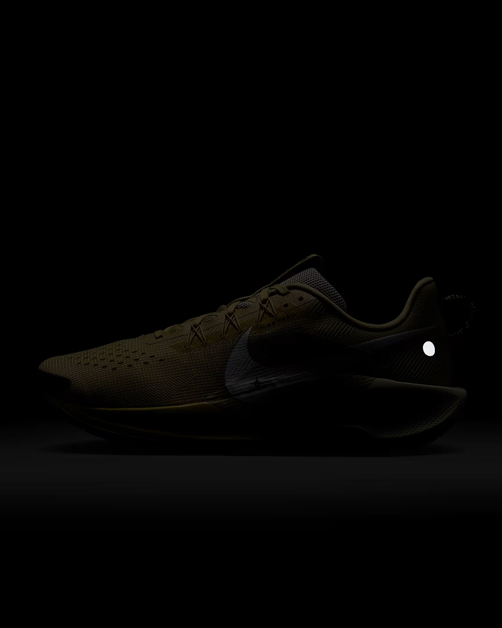 Nike Pegasus Trail 5