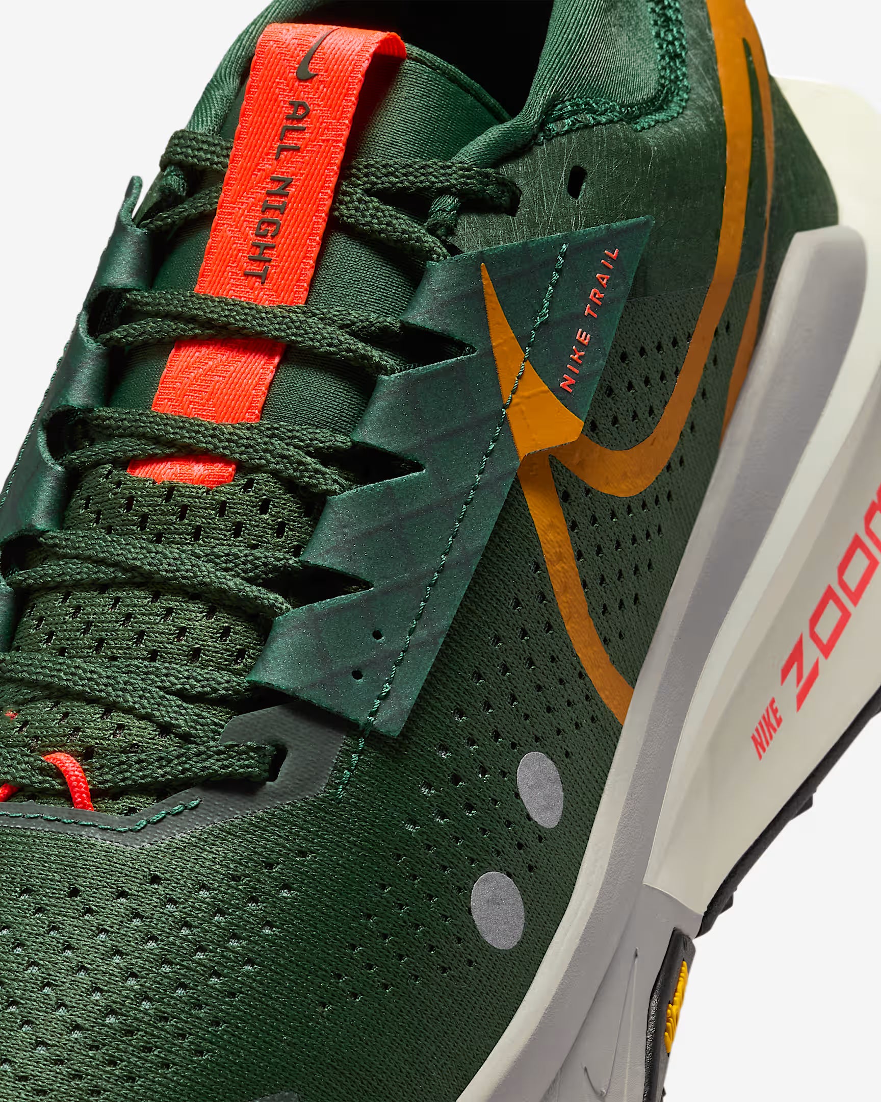 Nike Zegama 2