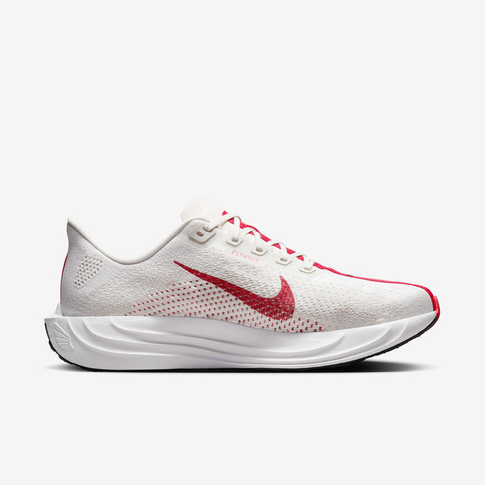 Nike Pegasus Plus