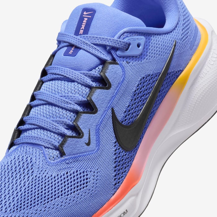 Nike Pegasus 41