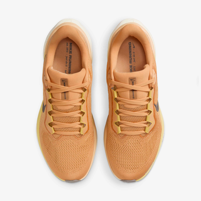 Nike Pegasus 41