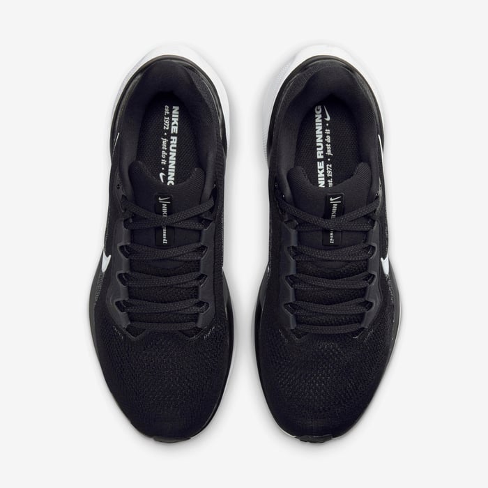Nike Pegasus 41