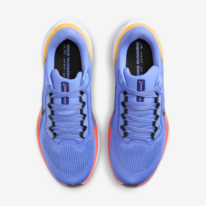 Nike Pegasus 41