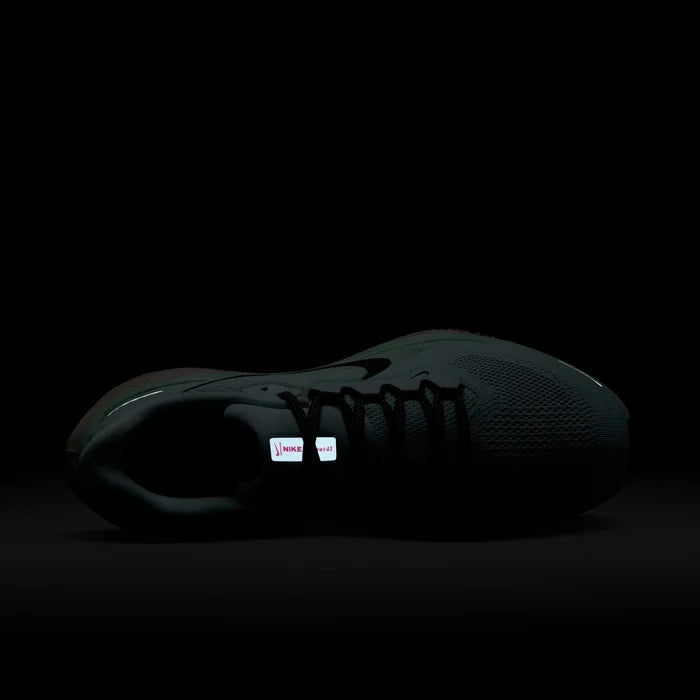 Nike Pegasus 41