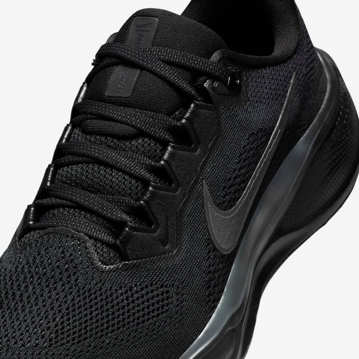 Nike Pegasus 41