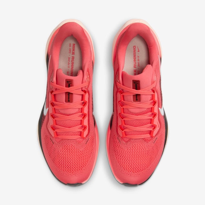 Nike Pegasus 41