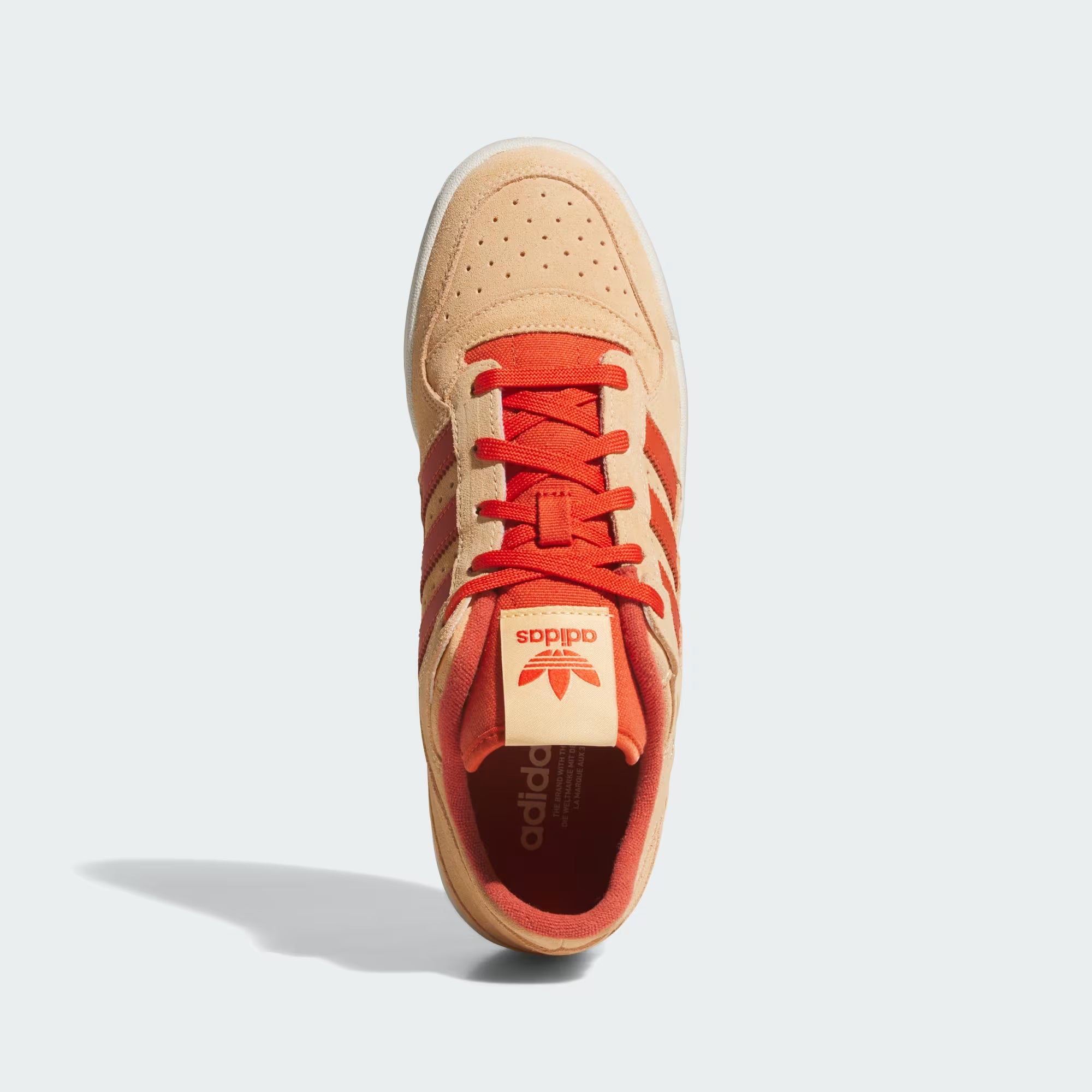 ADIDAS FORUM LOW CL SHOES