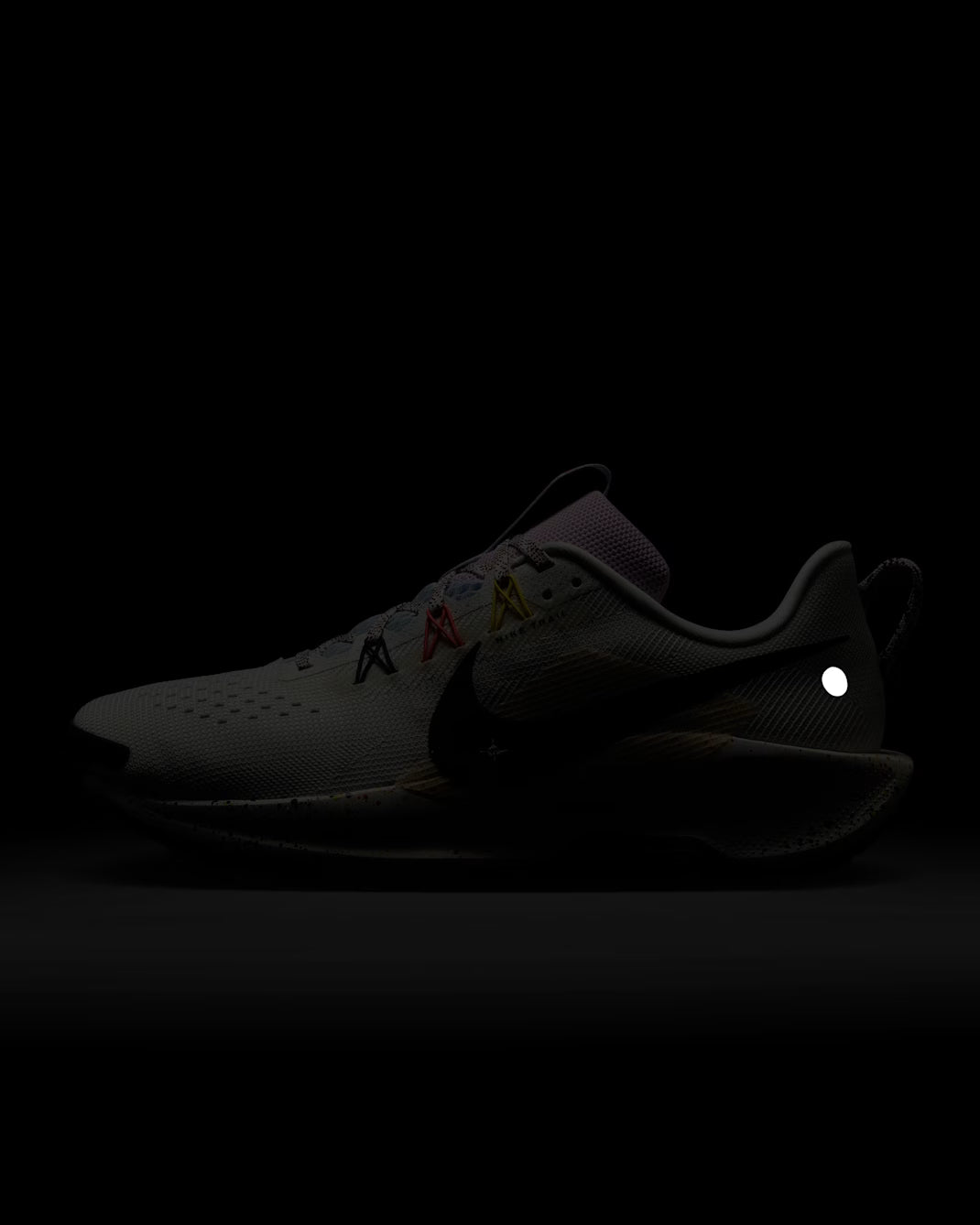 Nike Pegasus Trail 5