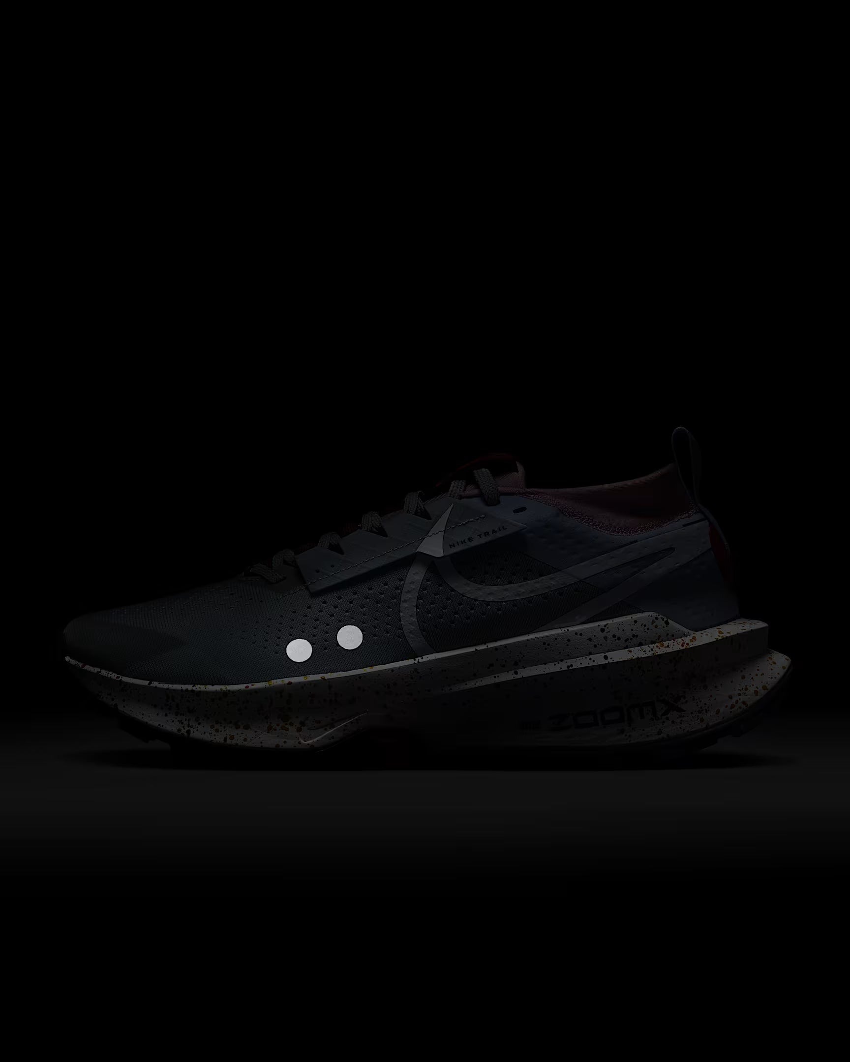 Nike Zegama 2