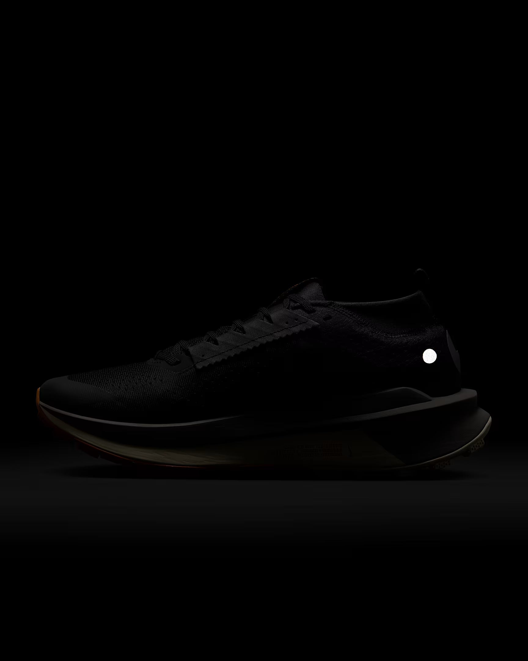 Nike Zegama 2