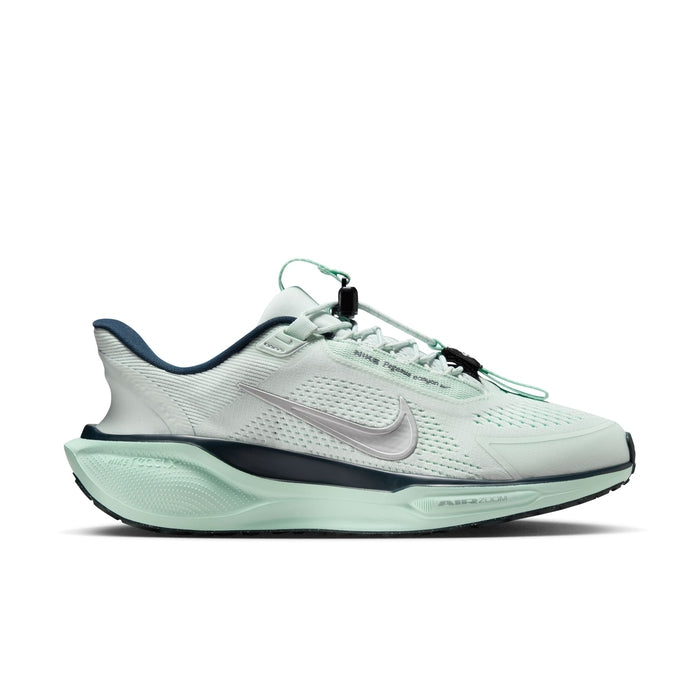 Nike Pegasus EasyOn