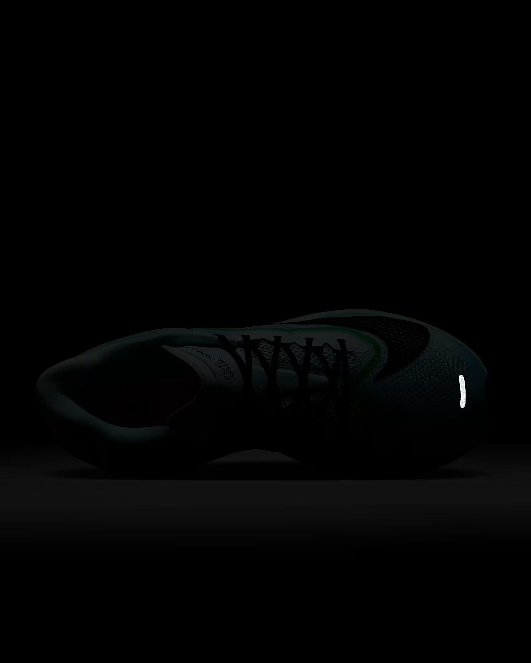 Nike Zoom Fly 6