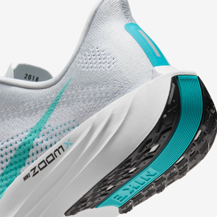 Nike Pegasus Plus