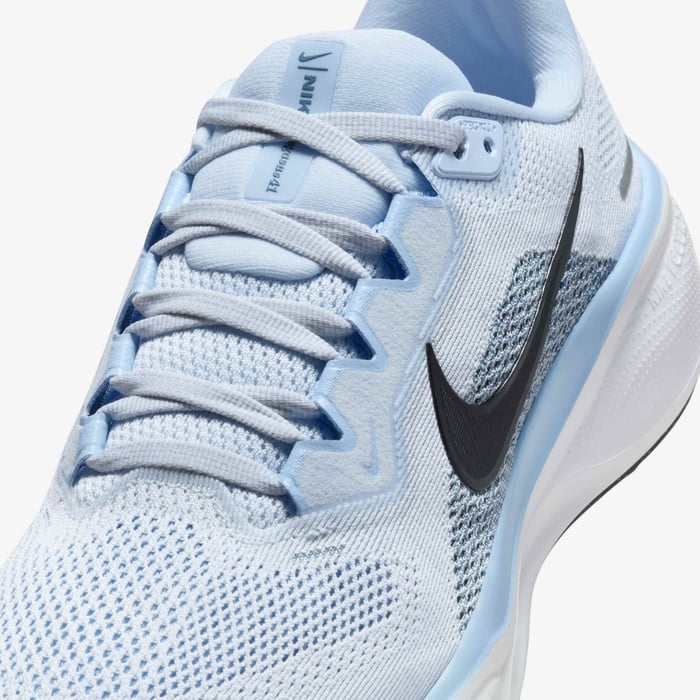 Nike Pegasus 41